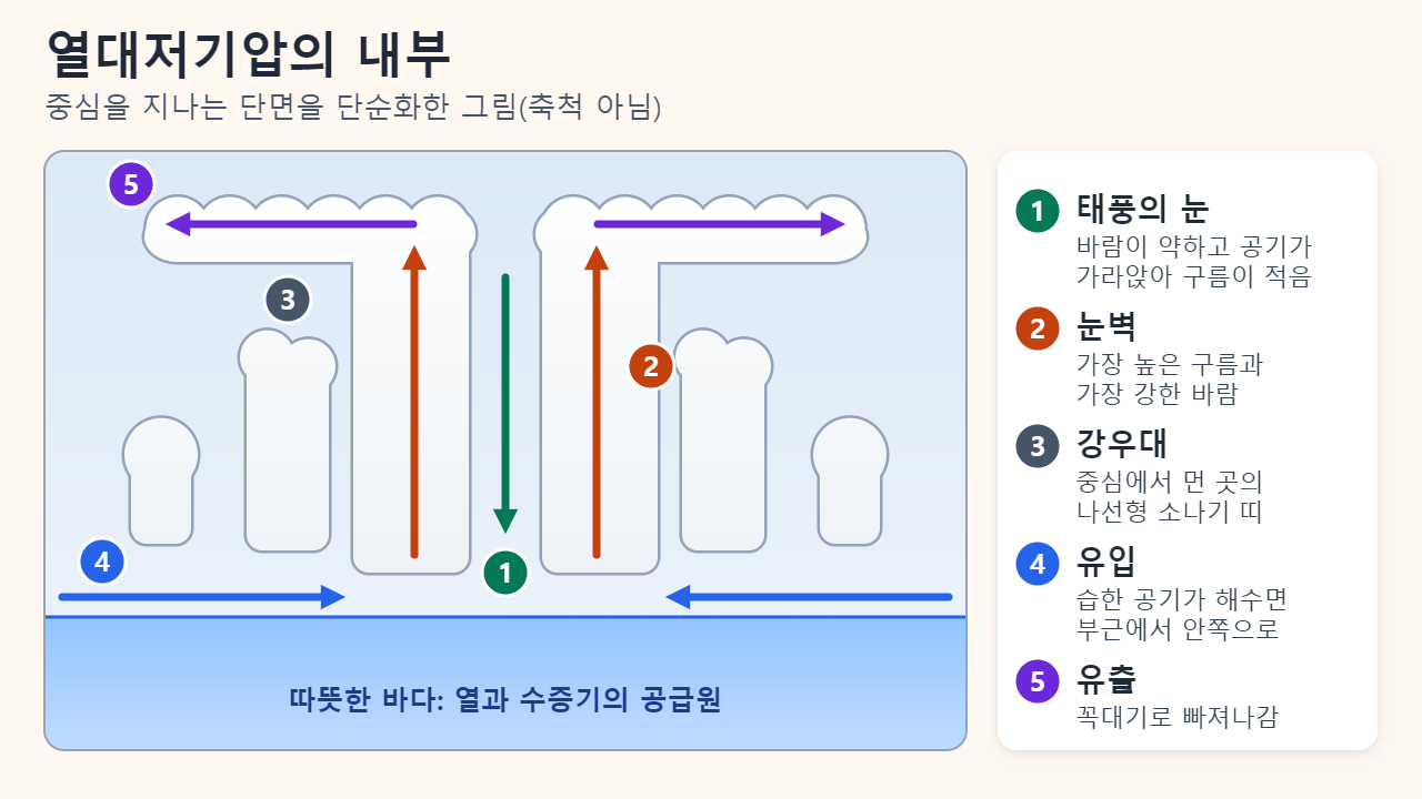 따뜻한 바다 위 열대저기압의 단면도: 습한 공기가 해수면 근처에서 안쪽으로 소용돌이치며 들어와 눈벽의 높은 구름 속에서 솟아오르고 꼭대기로 빠져나가며, 가운데 태풍의 눈에서는 공기가 가라앉고 바깥에는 나선형 강우대가 있음