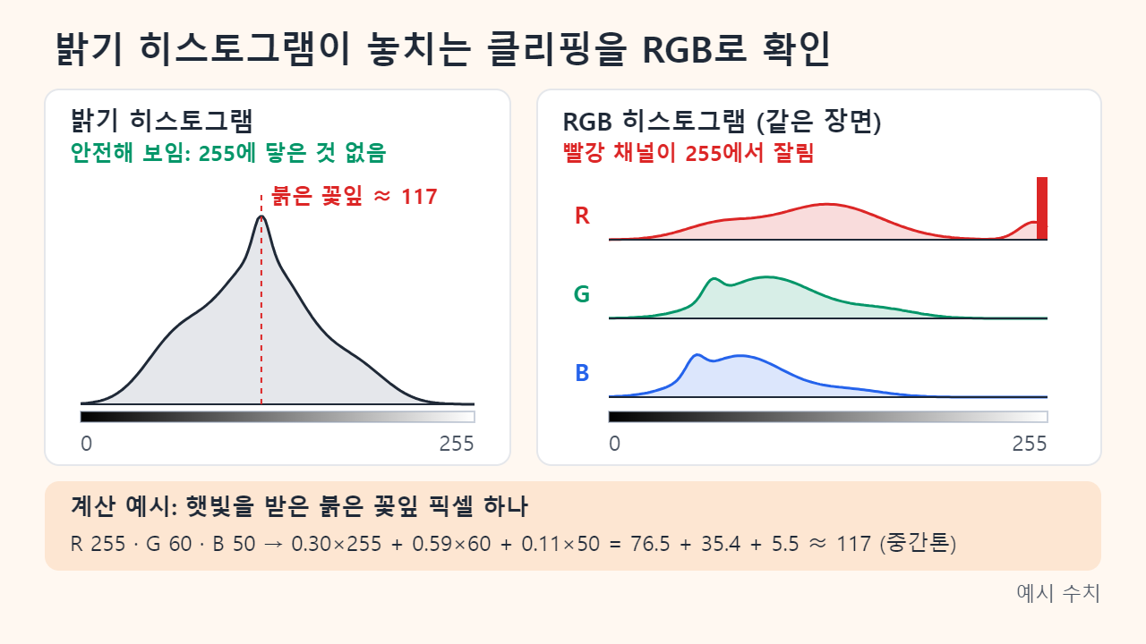 같은 장면을 밝기 히스토그램과 RGB 히스토그램으로 비교한 그림. 밝기 히스토그램은 255 전에 끝나고 붉은 꽃잎이 약 117에 놓이지만, RGB 히스토그램에서는 빨강 채널이 255에 벽을 이루고 초록과 파랑은 괜찮습니다. 계산 예는 0.30×255 + 0.59×60 + 0.11×50 ≈ 117입니다.
