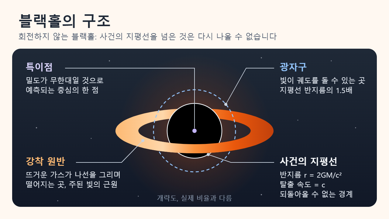 회전하지 않는 블랙홀의 개략도. 중심의 특이점, 반지름이 r = 2GM/c²인 검은 사건의 지평선, 지평선 반지름의 1.5배 거리에 점선으로 그린 광자구, 안쪽으로 나선을 그리며 떨어지면서 빛나는 강착 원반을 표시했습니다. 실제 비율과는 다릅니다.