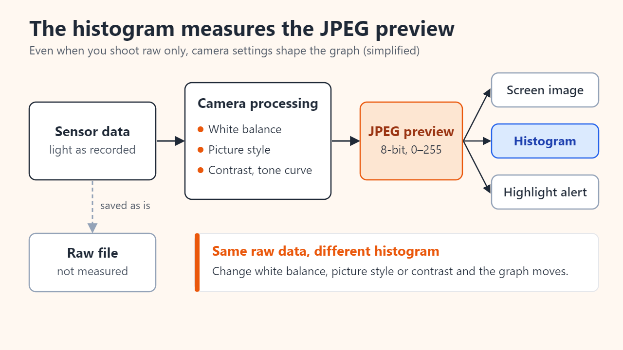 Flow diagram: sensor data passes through in-camera processing (white balance, picture style, contrast and tone curve) to an 8-bit JPEG preview, which feeds the screen image, the histogram and the highlight alert; the raw file is saved separately and is not what the histogram measures.