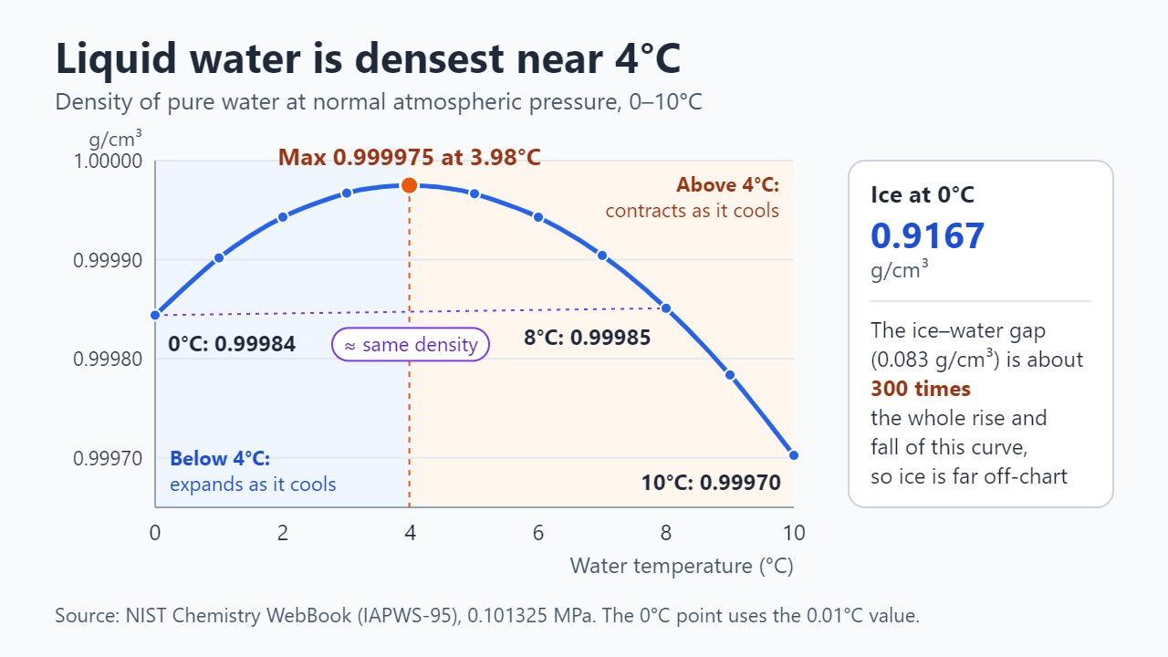 Line chart of pure water density from 0 to 10°C: 0.99984 g/cm³ at 0°C, a maximum of 0.999975 g/cm³ at 3.98°C, 0.99985 at 8°C and 0.99970 at 10°C; ice at 0°C is 0.9167 g/cm³