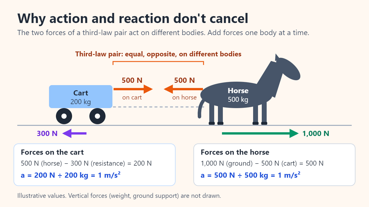 Horse and cart diagram with illustrative numbers: the horse pulls the 200 kg cart forward with 500 N and the cart pulls the 500 kg horse back with 500 N; with 300 N of resistance on the cart and a 1,000 N ground push on the horse, both accelerate at 1 m/s²