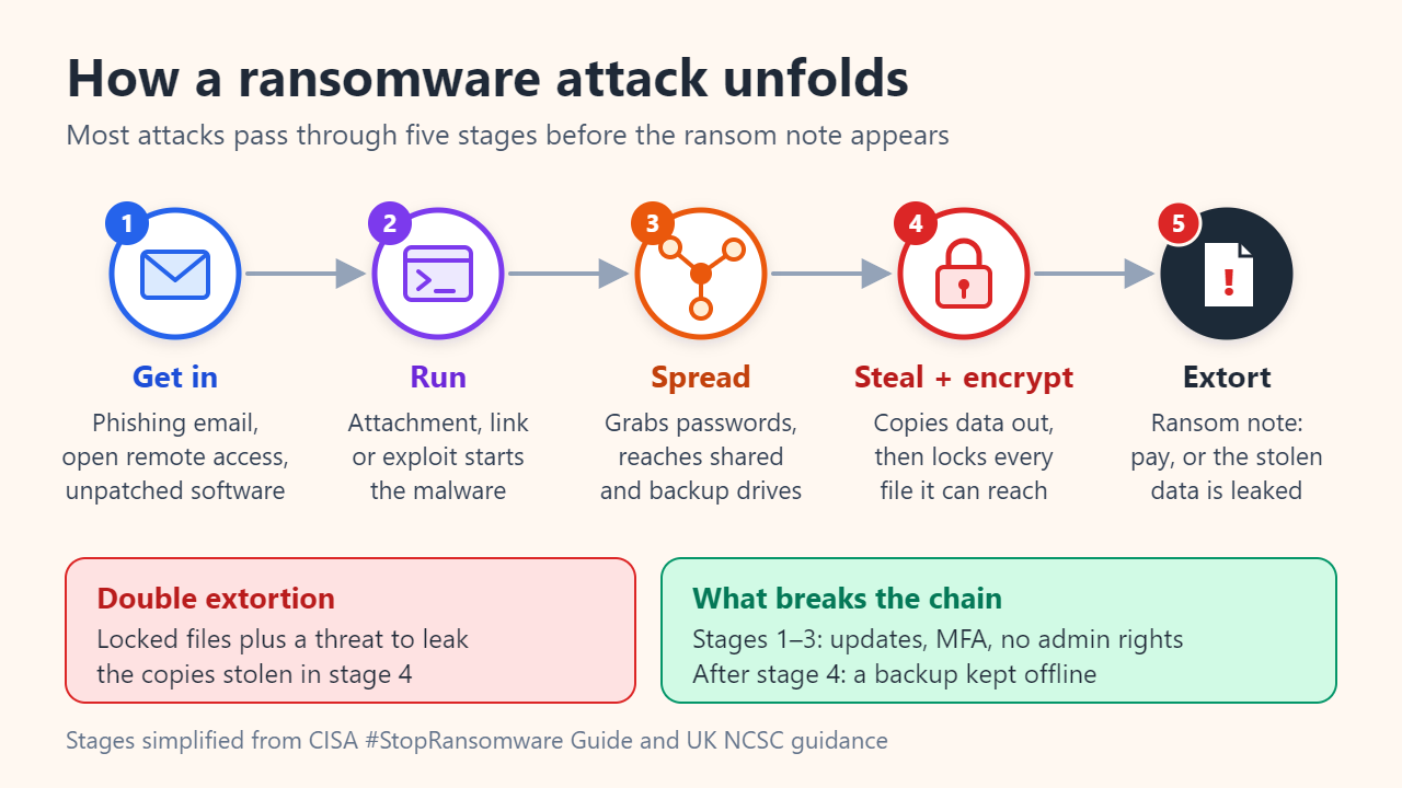 Diagram of the five stages of a ransomware attack: get in, run, spread, steal and encrypt, extort, with notes on double extortion and the defenses that break the chain