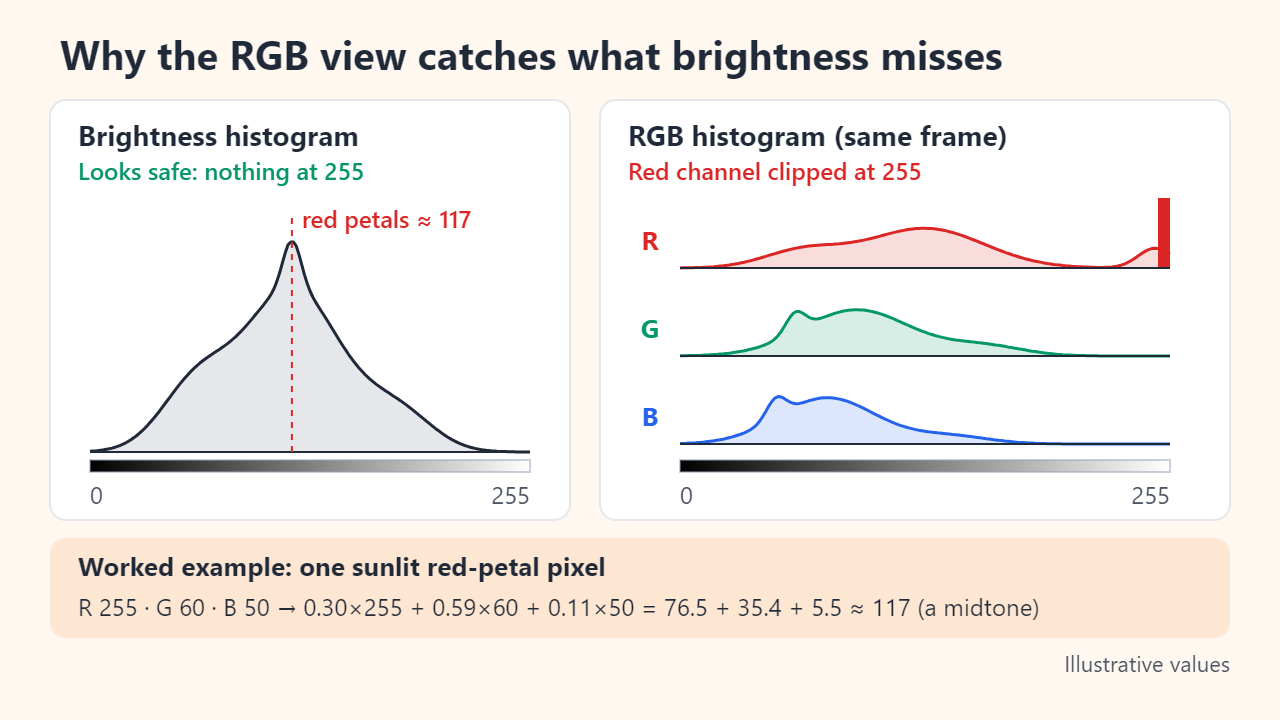 The same frame shown as a brightness histogram, which ends before 255 and places red petals at about 117, and as an RGB histogram in which the red channel has a wall at 255 while green and blue are fine; a worked example computes 0.30×255 + 0.59×60 + 0.11×50 ≈ 117.