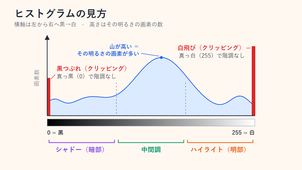 輝度ヒストグラムの注釈図。横軸は0（黒）から255（白）で、シャドー・中間調・ハイライトに三分割され、縦軸は画素数。左右の端にある赤い壁が、黒つぶれと白飛び（クリッピング）を示している。