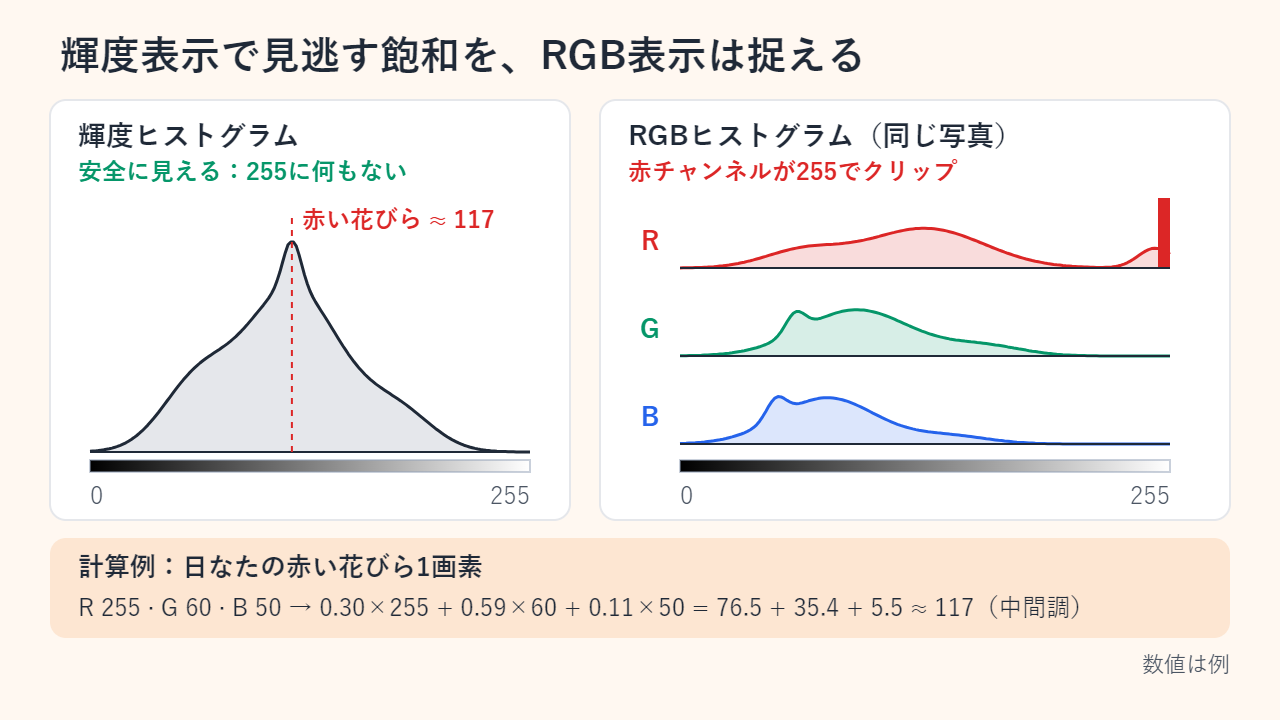 同じ写真を輝度ヒストグラムとRGBヒストグラムで比べた図。輝度では255の手前でグラフが終わり、赤い花びらは約117の位置にある。RGBでは赤チャンネルだけ255に壁があり、緑と青は問題ない。計算例は0.30×255 + 0.59×60 + 0.11×50 ≒ 117。
