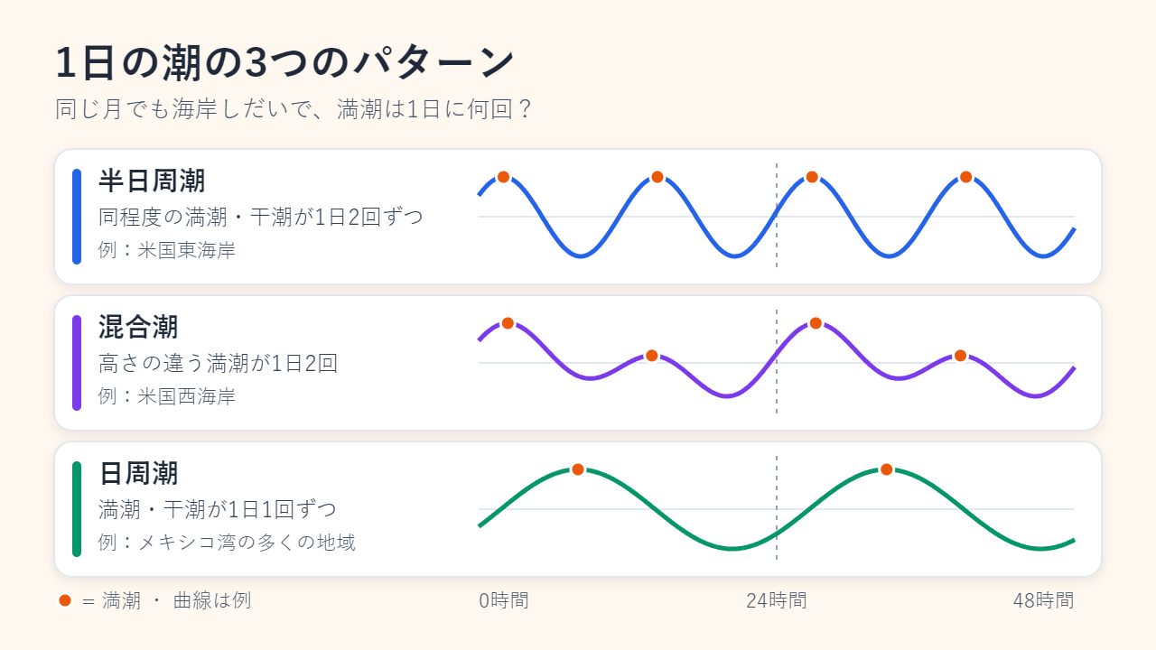例として描いた48時間の潮位曲線が3種類。1日に同じ高さの満潮が2回ある半日周潮（米国東海岸）、高さの違う満潮が2回ある混合潮（米国西海岸）、満潮が1回だけの日周潮（メキシコ湾の多くの地域）