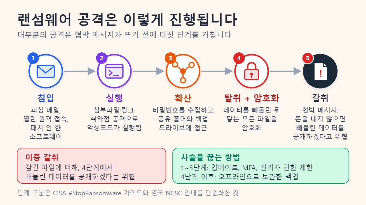 랜섬웨어 공격의 다섯 단계(침입, 실행, 확산, 탈취와 암호화, 갈취)와 이중 갈취, 사슬을 끊는 방어 습관을 정리한 도식