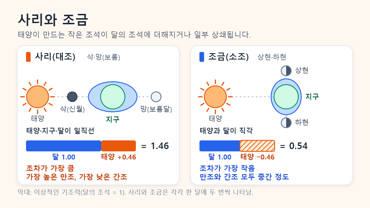 사리 패널: 태양, 지구, 삭 또는 망의 달이 일직선이고 달의 조석 1.00에 태양의 0.46을 더해 1.46. 조금 패널: 상현 또는 하현의 달이 태양과 직각을 이루며 1.00에서 0.46을 빼 0.54