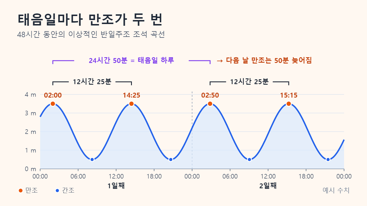 48시간 동안의 예시 조석 곡선: 만조가 02:00, 14:25, 다음 날 02:50, 15:15에 나타나며 각각 12시간 25분 간격이고, 괄호로 24시간 50분이 태음일 하루임을 표시한 그래프