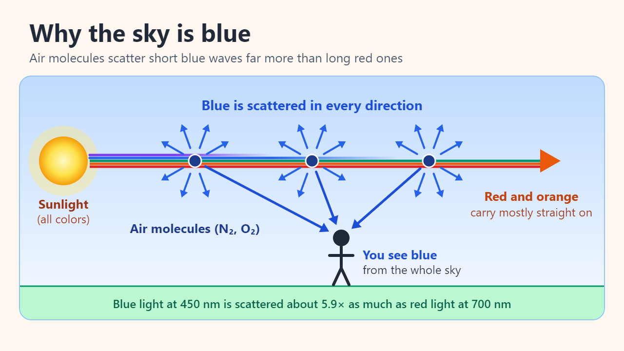 Diagram: white sunlight enters the atmosphere from the left; air molecules scatter blue light in all directions, so an observer on the ground sees blue from every part of the sky, while red and orange light continues mostly straight on