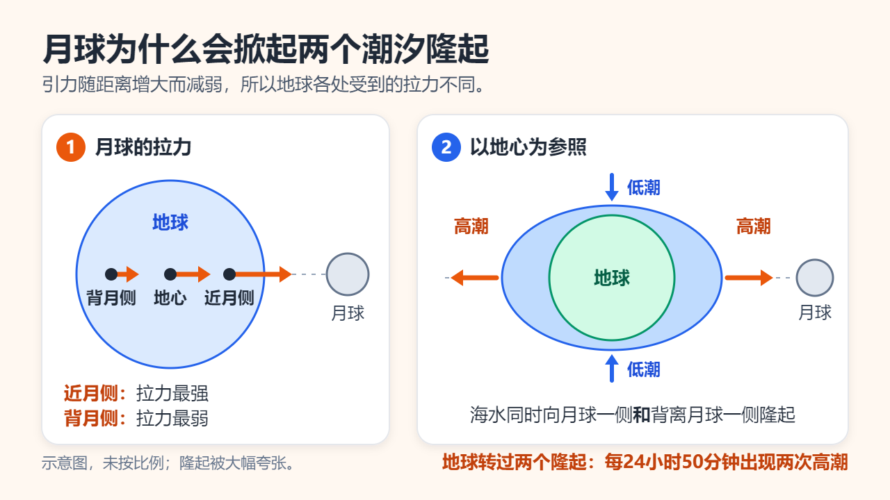 两栏示意图：箭头表示月球对地球近月侧的拉力最强、对地心次之、对背月侧最弱；以地心为参照，海水被拉伸成朝向月球和背离月球的两个隆起，中间为低潮