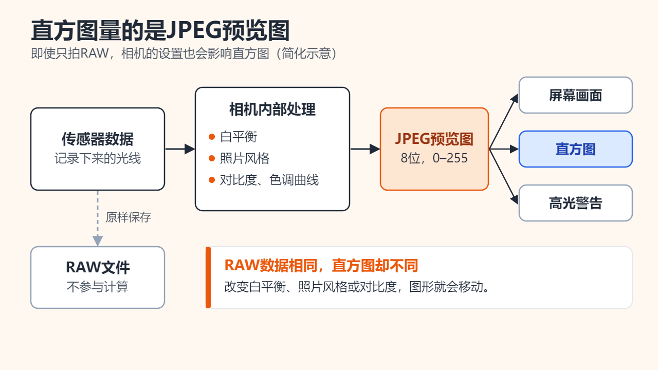 流程图：传感器数据经相机内部处理（白平衡、照片风格、对比度和色调曲线）生成 8 位的JPEG预览图，预览图再用于屏幕画面、直方图和高光警告；RAW文件单独保存，不是直方图的计算对象。