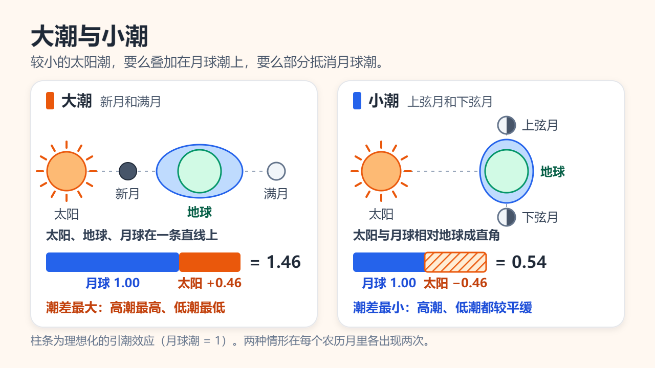 大潮一栏：太阳、地球与新月或满月排成一条直线，月球潮1.00加太阳潮0.46等于1.46；小潮一栏：上弦月或下弦月与太阳成直角，1.00减0.46等于0.54