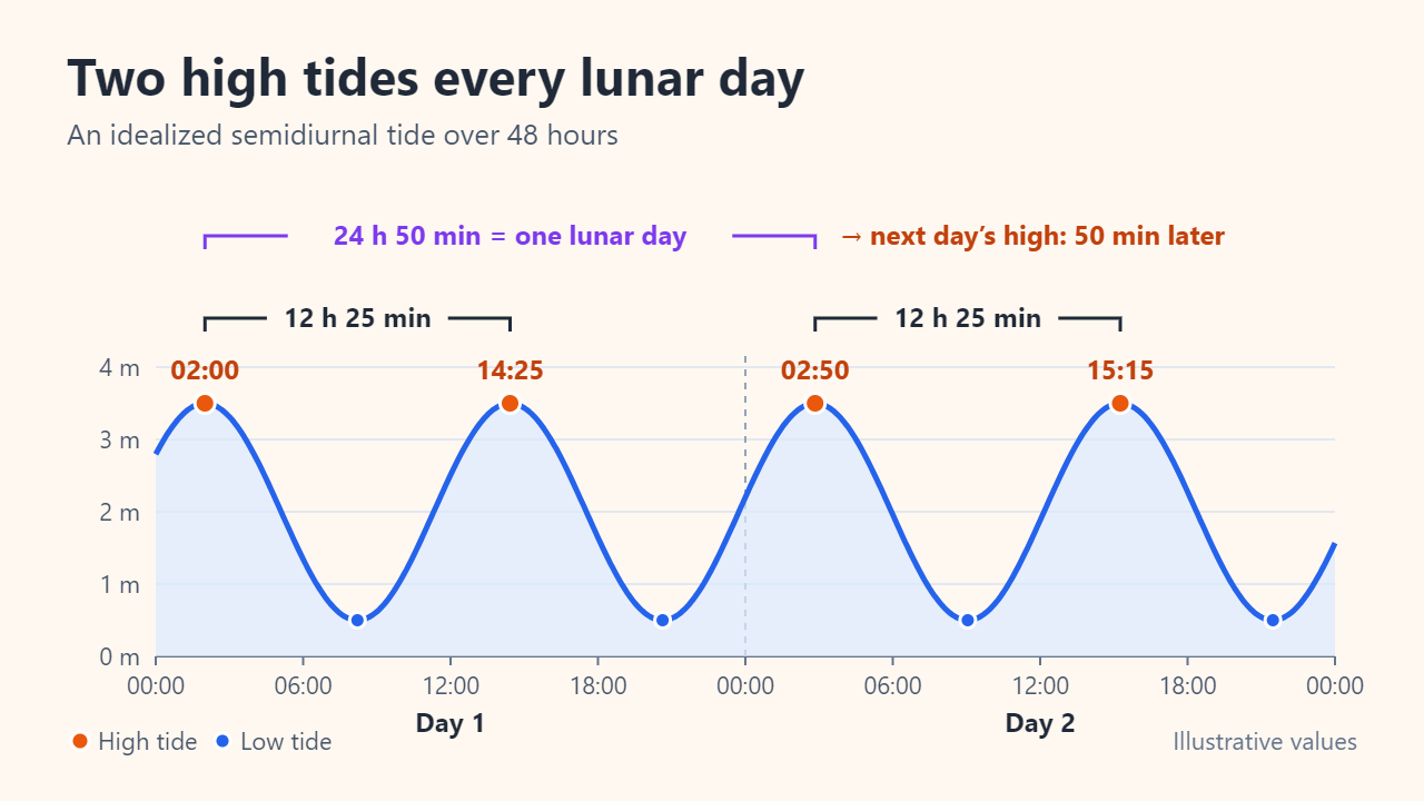 Illustrative 48-hour tide curve with high tides at 02:00, 14:25, 02:50 the next day and 15:15, each 12 h 25 min apart; a bracket marks 24 h 50 min as one lunar day