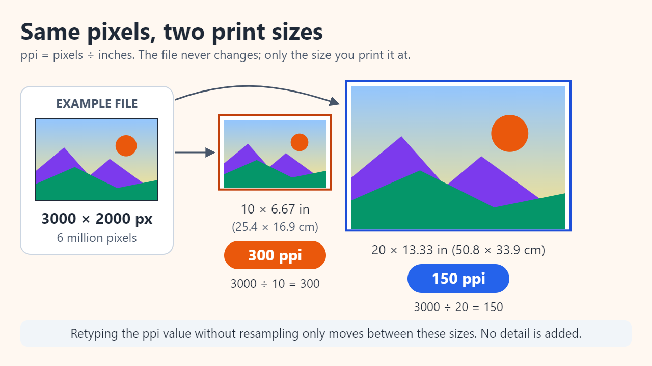 The same 3000 × 2000 pixel image printed at 10 × 6.67 inches gives 300 ppi, and printed at 20 × 13.33 inches gives 150 ppi