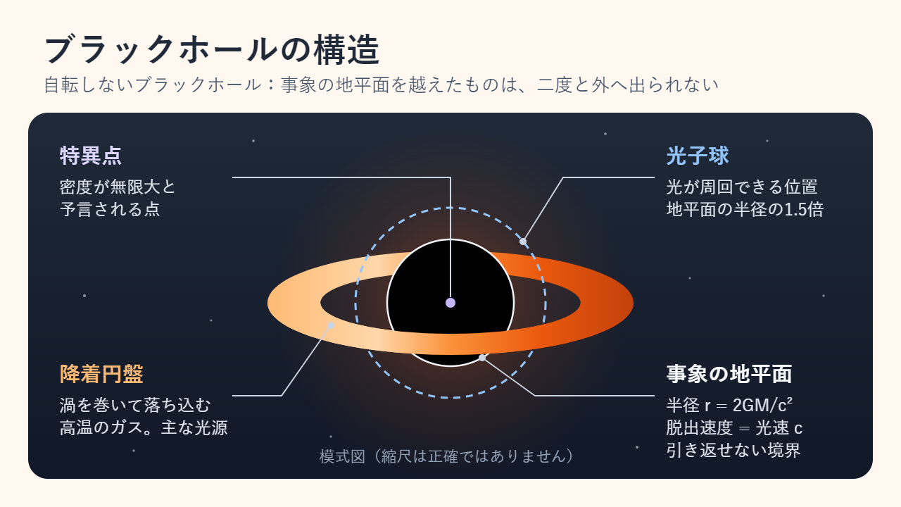 自転しないブラックホールの模式図。中心の特異点、半径 r = 2GM/c² の黒い事象の地平面、その1.5倍の半径にある破線の光子球、内側へ渦を巻いて落ち込む光る降着円盤を示している。縮尺は正確ではない。