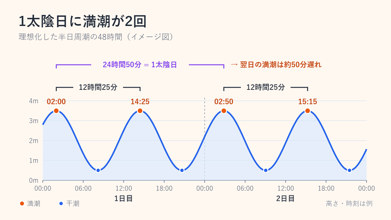 例として描いた48時間の潮位曲線。満潮は02:00、14:25、翌日の02:50、15:15で、それぞれ12時間25分おき。24時間50分が1太陰日であることを括弧で示している