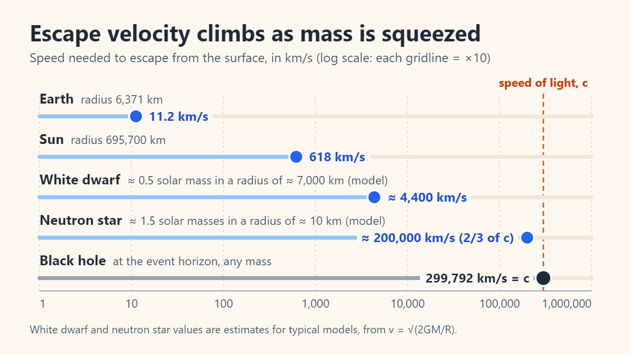 Log-scale chart of escape velocity from the surface: Earth 11.2 km/s, Sun 618 km/s, a typical white dwarf about 4,400 km/s, a neutron star about 200,000 km/s (two-thirds of light speed), and a black hole event horizon 299,792 km/s, the speed of light.