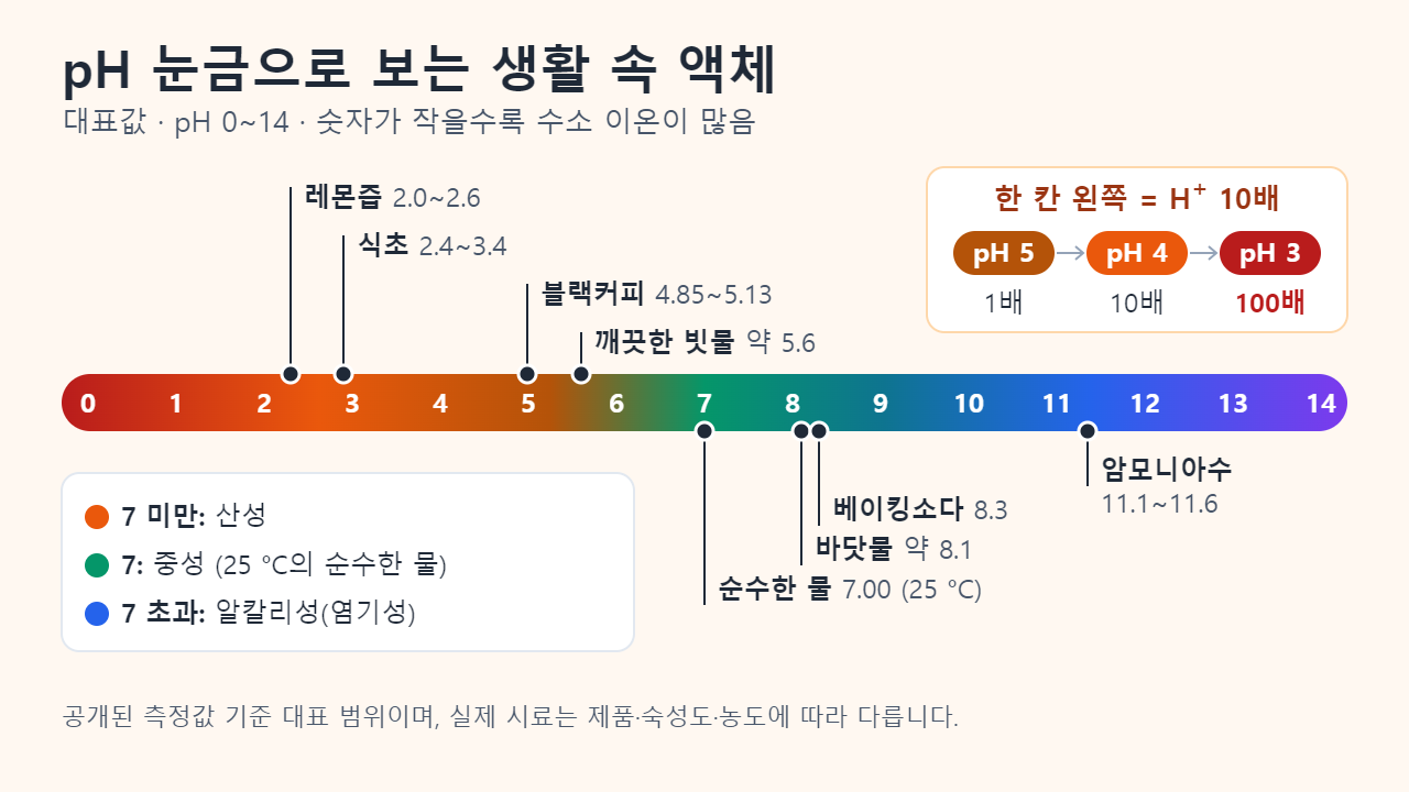 0부터 14까지의 pH 눈금과 일상 속 대표값: 레몬즙 2.0~2.6, 식초 2.4~3.4, 블랙커피 4.85~5.13, 깨끗한 빗물 약 5.6, 25 °C의 순수한 물 7.00, 바닷물 약 8.1, 베이킹소다 수용액 8.3, 암모니아수 11.1~11.6