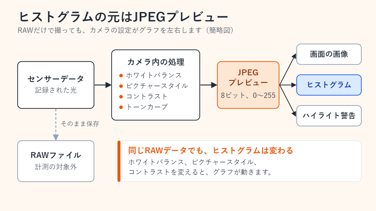 流れ図。センサーデータがカメラ内の処理（ホワイトバランス、ピクチャースタイル、コントラスト、トーンカーブ）を経て8ビットのJPEGプレビューになり、画面の画像・ヒストグラム・ハイライト警告の元になる。RAWファイルは別に保存され、ヒストグラムの計測対象ではない。